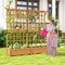 3-in-1 Raised Garden Bed with Fir Wood Frame Trellis Support and Efficient Drainage System